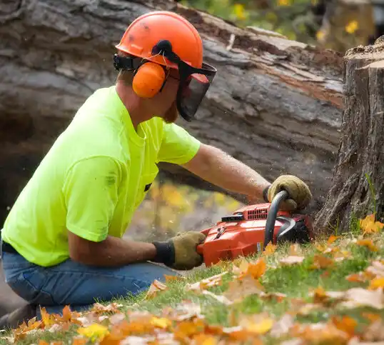 tree services Buchtel